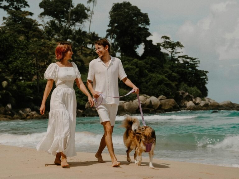 Investing in Thailand Property: Phuket vs Chiang Mai — Which City is Best for Your ROI? The Zero Phuket